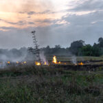 incendio1
