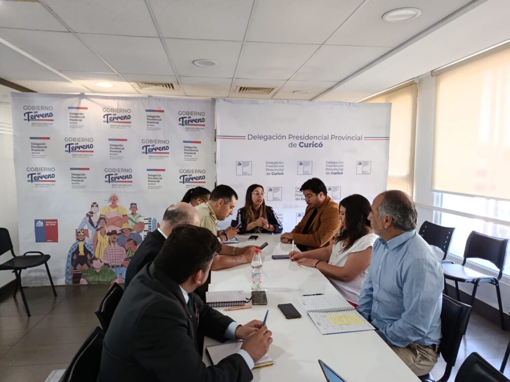 Autoridades realizan balance de operativo contra el comercio ilícito en la Feria de las Pulgas de Curicó 1 616207809 1207912348139593 1846787637365160497 n