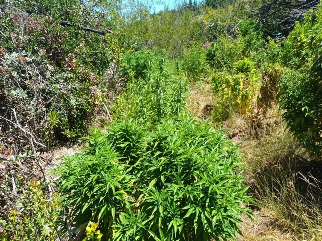 WhatsApp Image 2026 01 16 at 21.58.46