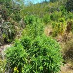 WhatsApp Image 2026 01 16 at 21.58.46