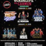 festival guadalupe del carmen 2026
