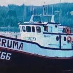 14934 lancha bruma