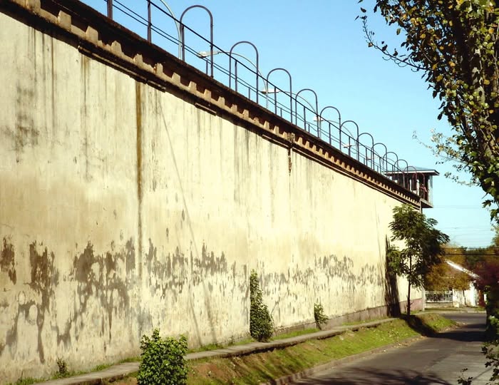 641492302 1513393184129352 763129987138633565 n