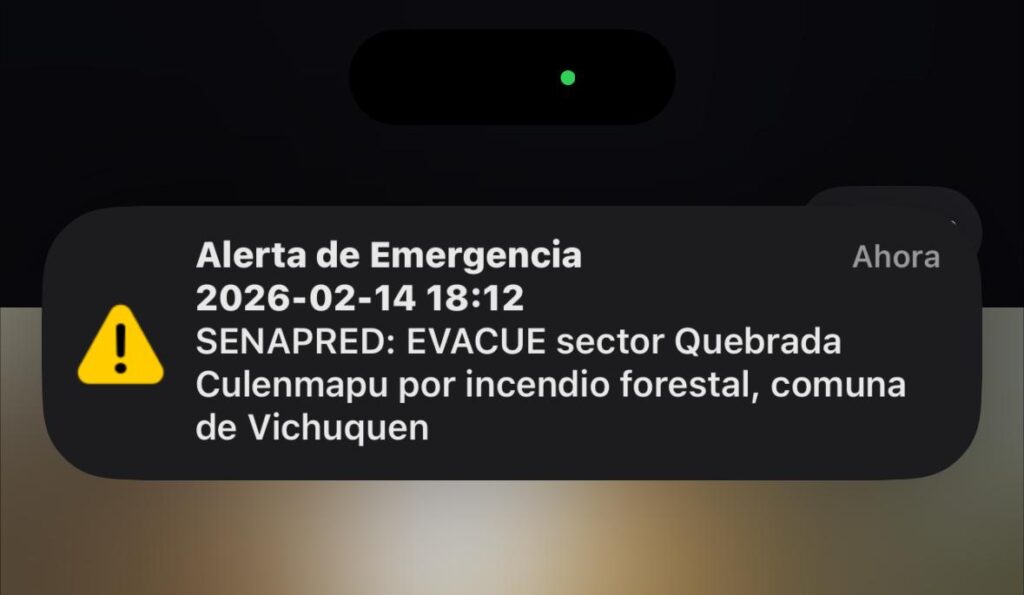 WhatsApp Image 2026 02 14 at 18.12.54