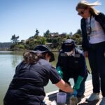Lago Vichuquen Diario TAlca 2