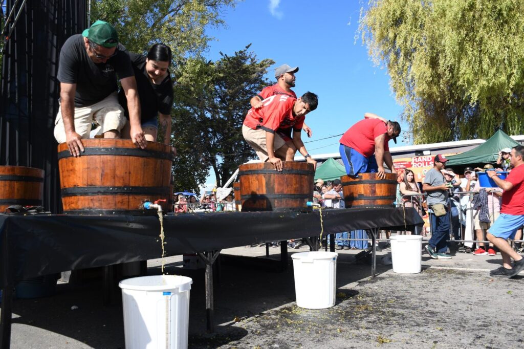 WhatsApp Image 2026 03 08 at 20.04.24