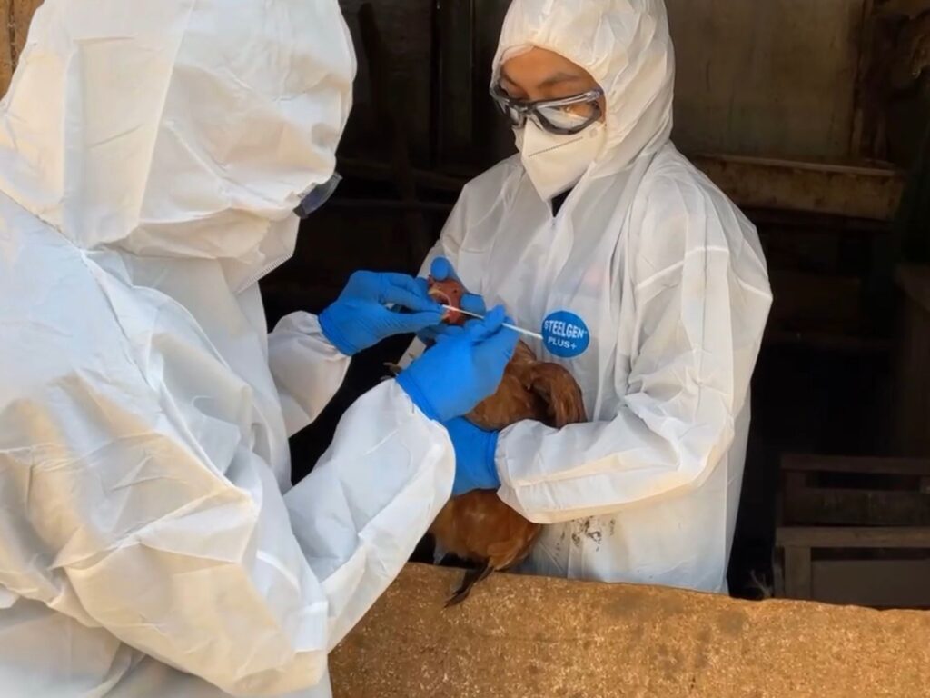 Confirman presencia de influenza aviar H5N1 en Pumanque y Las Cabras 1 WhatsApp Image 2026 03 14 at 13.29.58