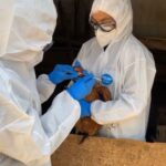 WhatsApp Image 2026 03 14 at 13.29.58