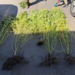 WhatsApp Image 2026 03 18 at 12.59.09