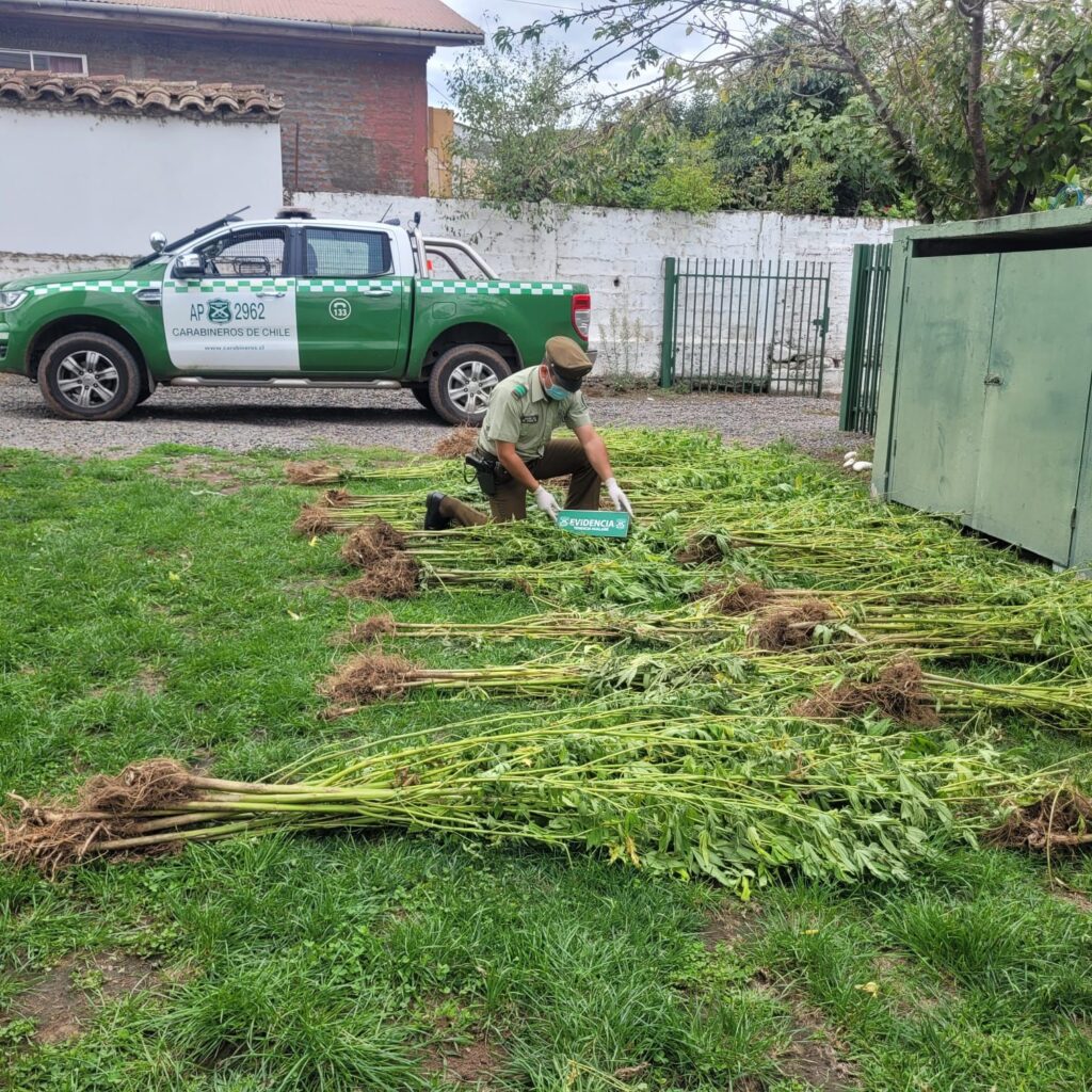 WhatsApp Image 2026 03 24 at 22.50.55