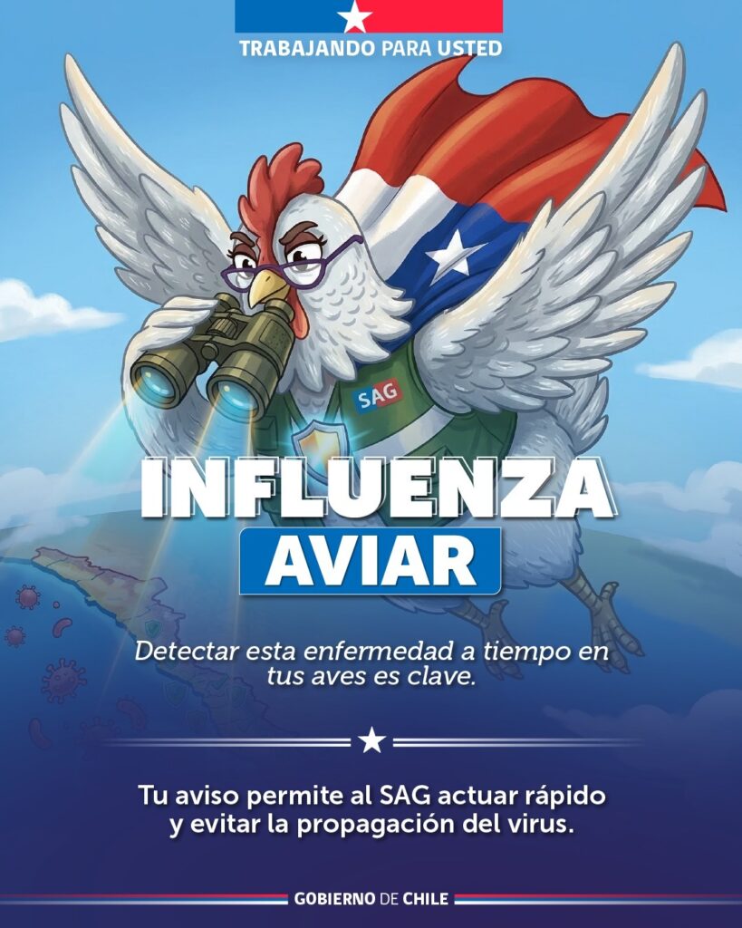 WhatsApp Image 2026 03 27 at 17.20.42