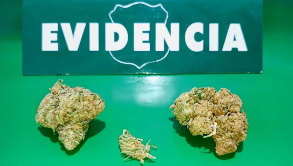 Detienen a sujeto por microtráfico de drogas tras control vehicular en Villa Prat 1 Detienen a sujeto por microtrafico de drogas tras control vehicular en Villa Prat