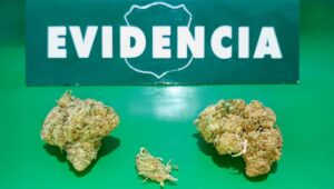 Detienen a sujeto por microtrafico de drogas tras control vehicular en Villa Prat