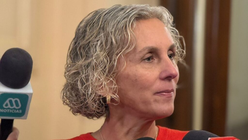 Diputada Priscilla Castillo critica plan de reconstruccion y advierte falta de apoyo a clase media y sectores vulnerables