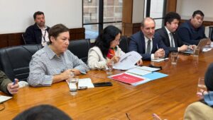 Senadora Beatriz Sanchez A un mes del alza de bencina el gobierno es incapaz de contener el alza de transportes en regiones