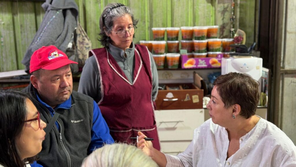 Senadora Beatriz Sanchez El alza en el costo de la vida en el Maule es responsabilidad del gobierno y no quiere hacerse cargo