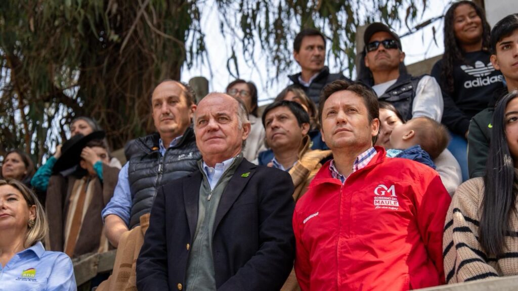 WhatsApp Image 2026 04 16 at 15.40.29