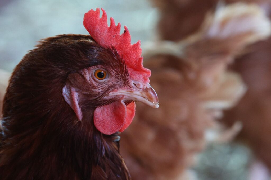 WhatsApp Image 2026 04 23 at 18.00.42