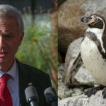 Cientificos chilenos alertan por impacto de decisiones ambientales tras llegada de nuevo gobierno