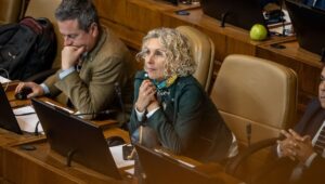 Diputada Priscilla Castillo cuestiona reforma tributaria y acusa desequilibrio en medidas economicas El Gobierno no esta escuchando las alertas fiscales