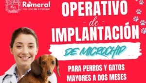 Municipalidad de Romeral realizara operativo gratuito de implantacion de microchip para mascotas