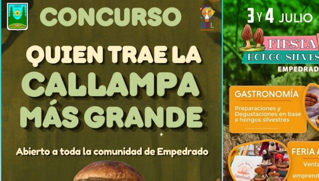Copia de Video Mediainfo 12 2