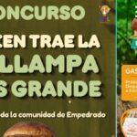 Copia de Video Mediainfo 12 2
