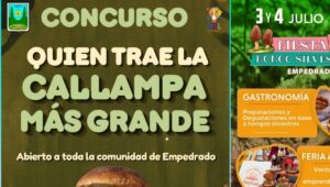 Copia de Video Mediainfo 12 2