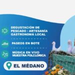 Copia de Video Mediainfo 17 1