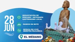 Copia de Video Mediainfo 17 1