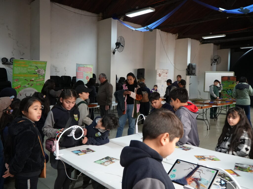 Insectos 2