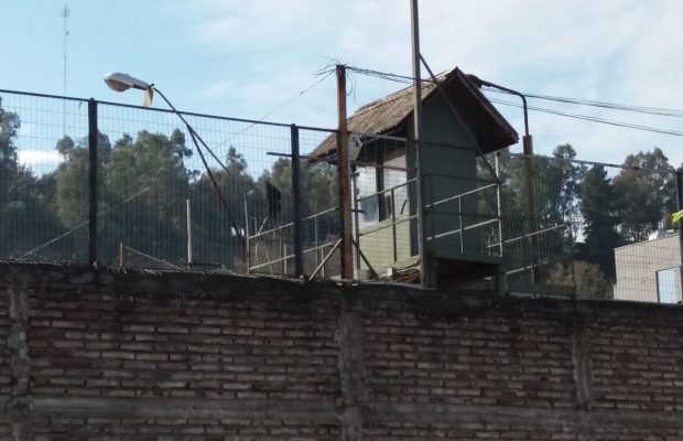 curico 1
