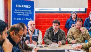 Copia de Video Mediainfo 12 4