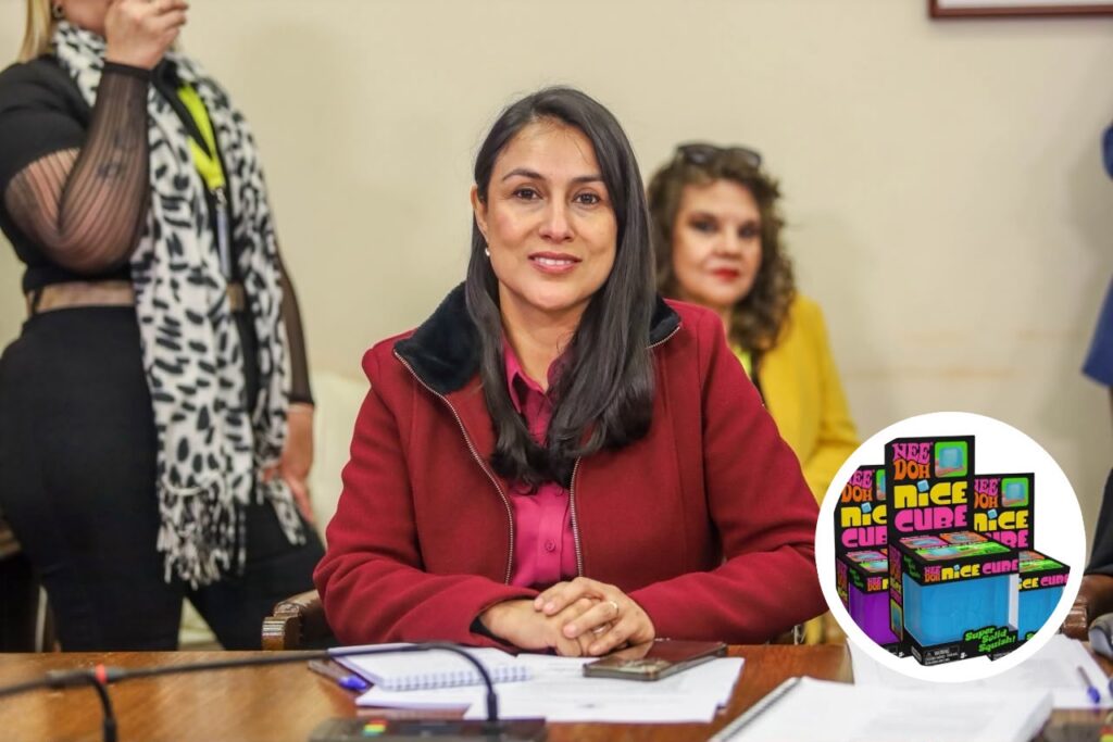 Diputada Francesca Munoz 7