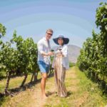 Colchagua celebrará el día del vino con barra libre, música en vivo y experiencias entre viñedos