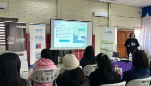 Copia de Video Mediainfo 74