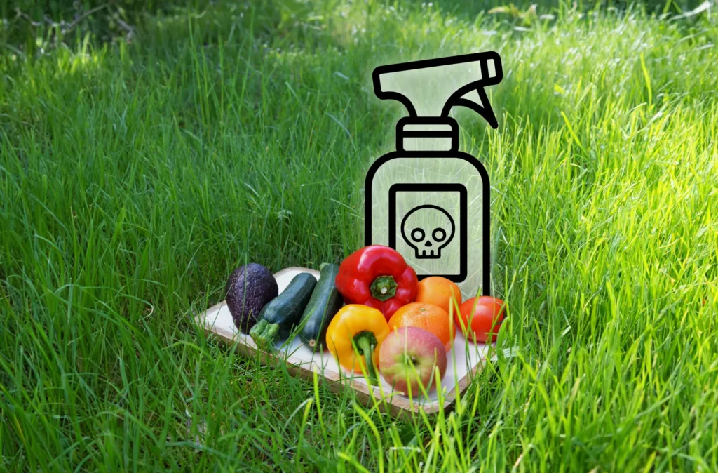 shutterstock 2467817699 b812090e bac5 4ff9 a202 334b2928df39