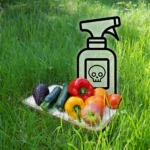 Experta UCM advierte que residuos de plaguicidas en alimentos requieren mayor ciencia, vigilancia y transparencia