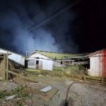 Curicó: Incendio afectó plantel porcino en Los Castaños