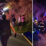 Conductor de bus interurbano fallece tras accidente en la ruta que une Santiago con Pichilemu