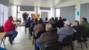 Copia de Video Mediainfo