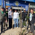 Municipio de Curicó inicia la tercera etapa de arborización en el casco histórico con la plantación de 91 nuevos árboles nativos