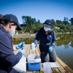 Seremi de Salud del Maule inicia monitoreo de cianobacterias en lago Vichuquén