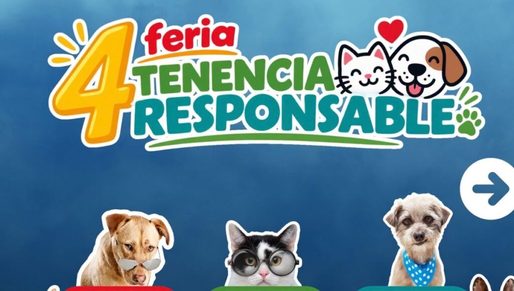 Copia de Video Mediainfo