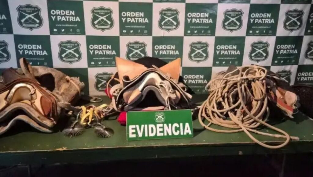 Copia de Video Mediainfo 2