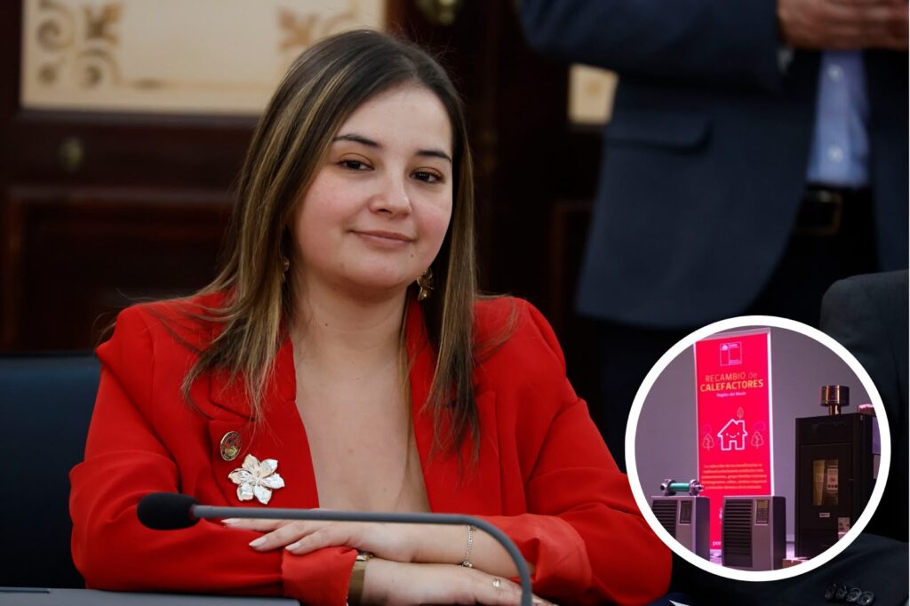 Diputada Tamara Ramirez 4