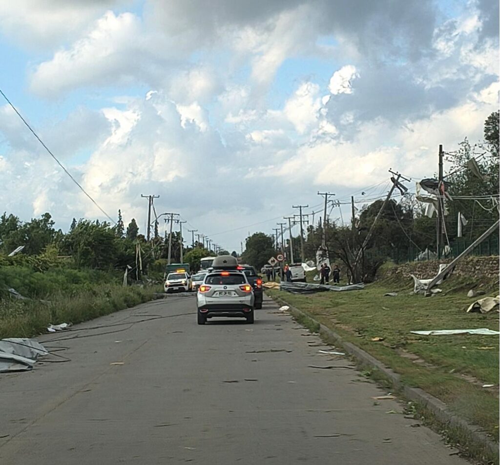 Requinoa 3