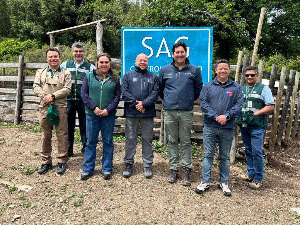 SAG veranadas diario talca 1