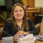 Diputada Flor Contreras exige fin a convenios bajo sospecha en La Araucanía y oficia a Interior y Subdere tras escándalo de $80 mil millones sin respaldo